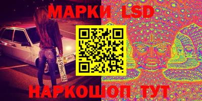 стаф Сланцы