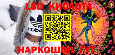 стаф Сланцы
