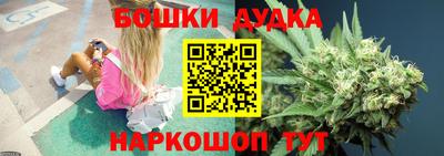 стаф Сланцы