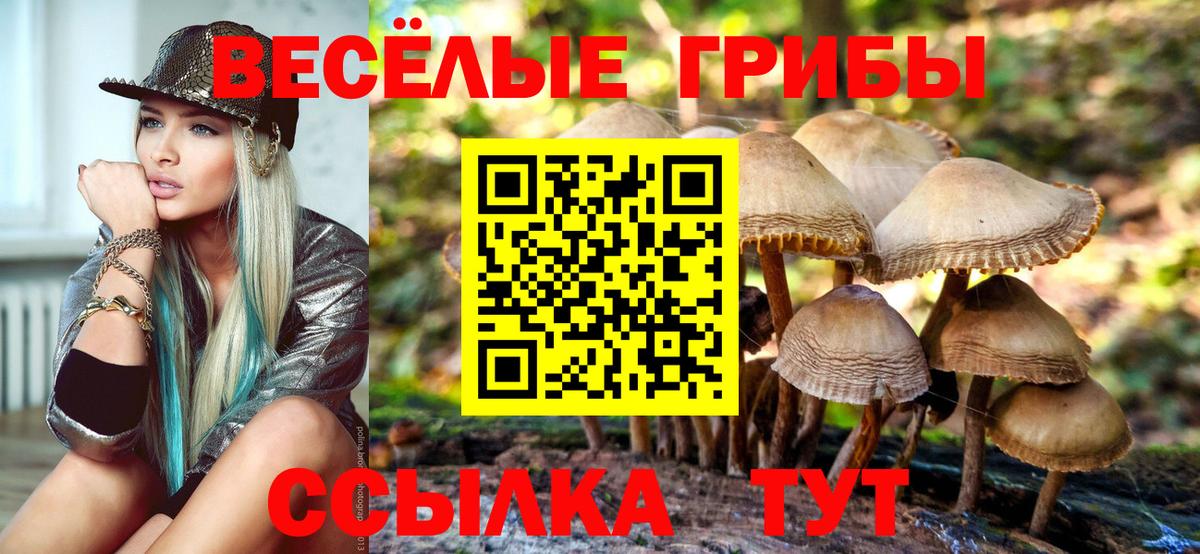 Галлюциногенные грибы мицелий  Вход с VPN  Псилоцибиновые грибы Psilocybine cubensis  Ноябрьск 