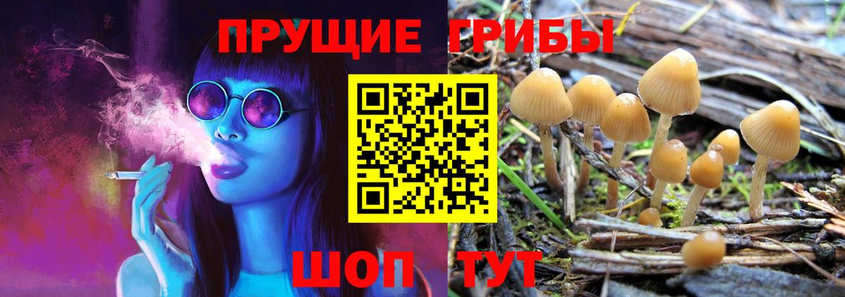 Псилоцибиновые грибы ЛСД Ноябрьск